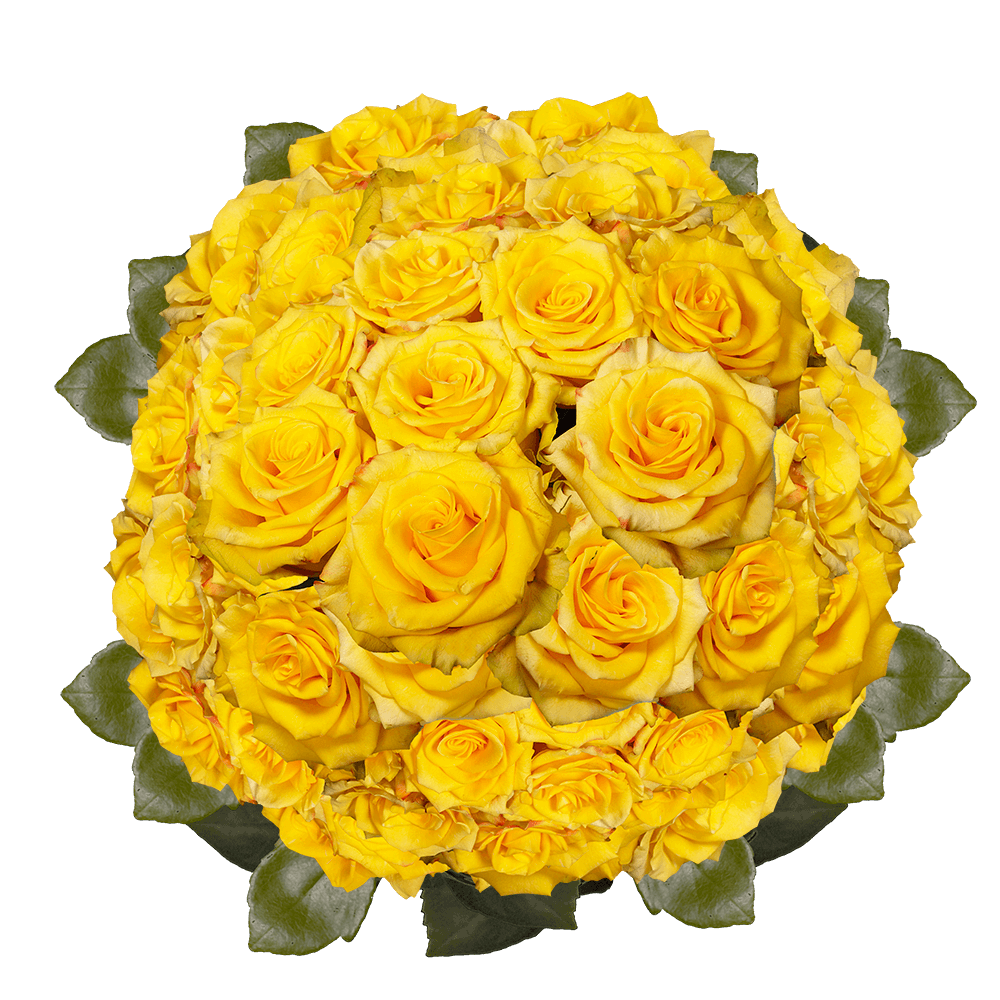 Beautiful Yellow Roses with Red Petals