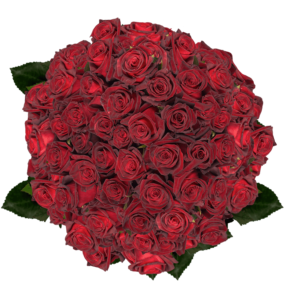 Best Black Roses