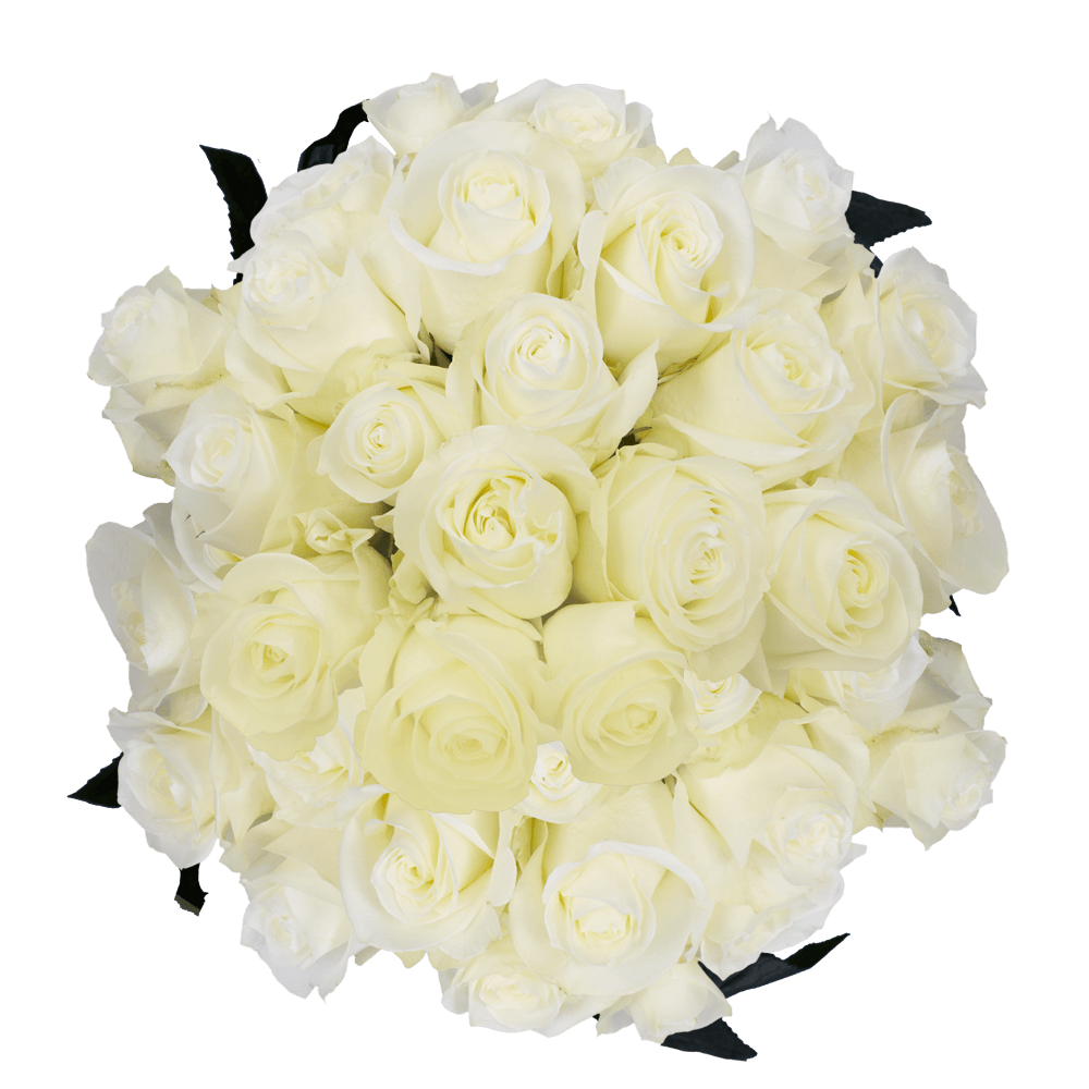 Best Wholesale White Roses