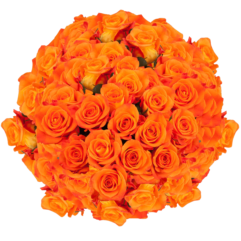 Bright Orange Bridal Roses