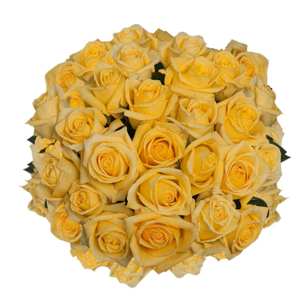 Bright Yellow Roses Delivery Fresh Cut Mohana Roses