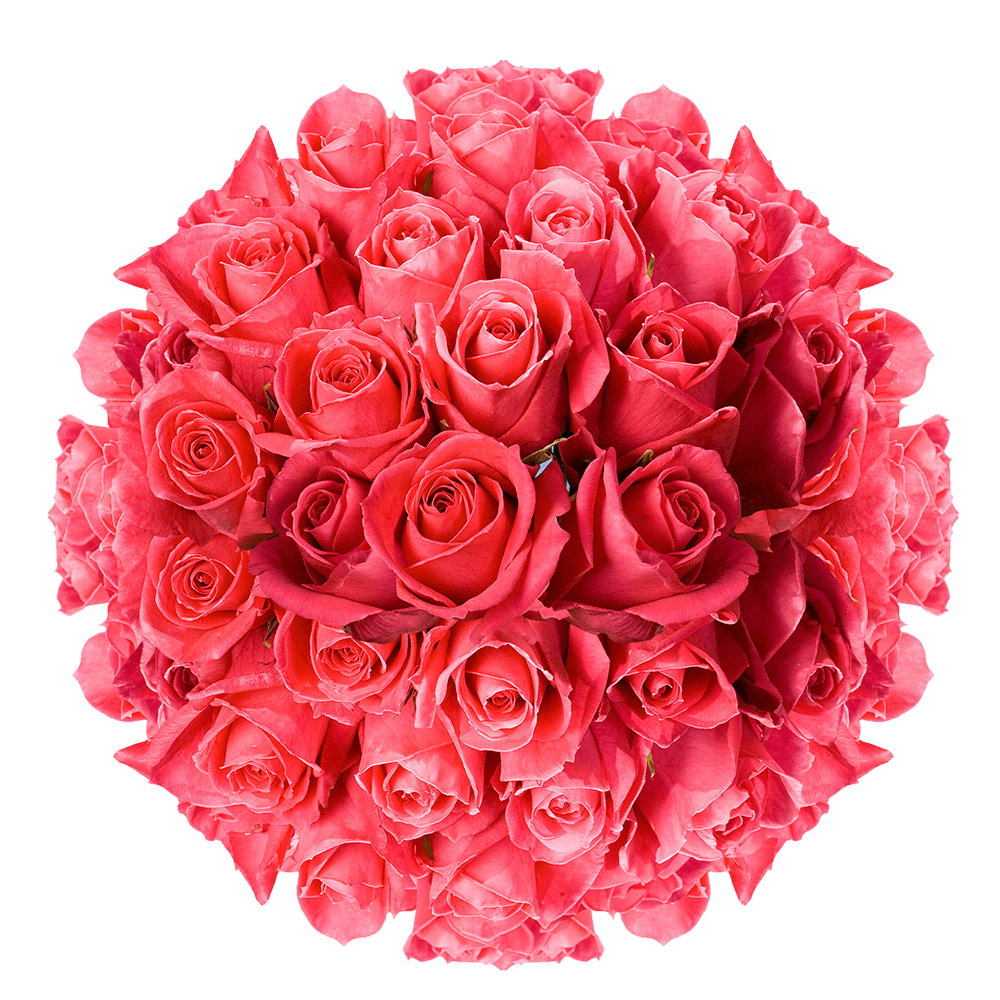 Buy Hot Pink Roses Online