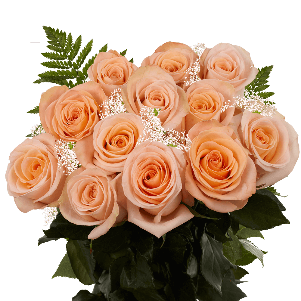 Dozen Peach Roses Fresh Flowers by Dozen