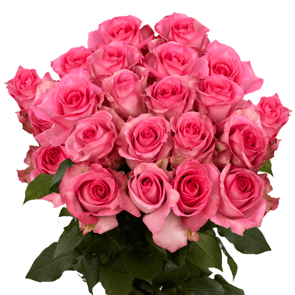 Fresh Pink Wedding Roses