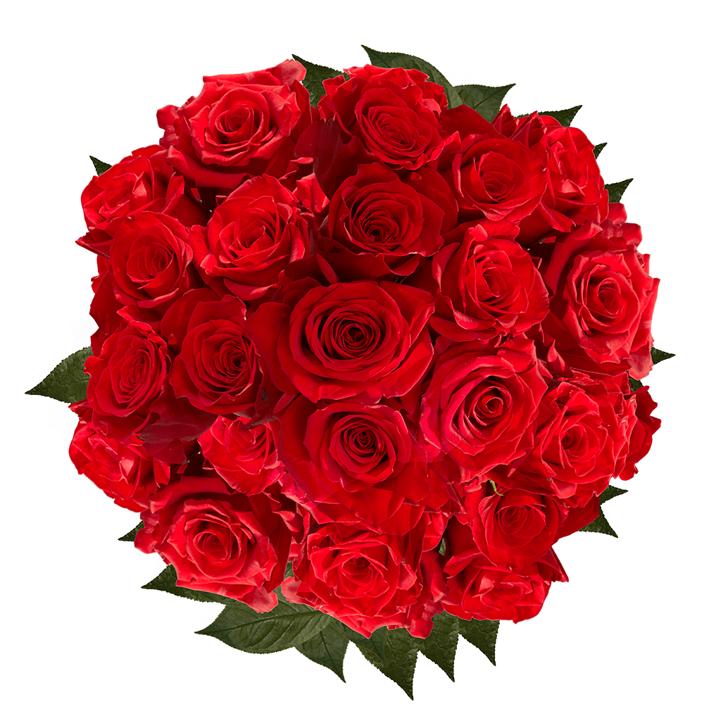 Gorgeous Red Roses