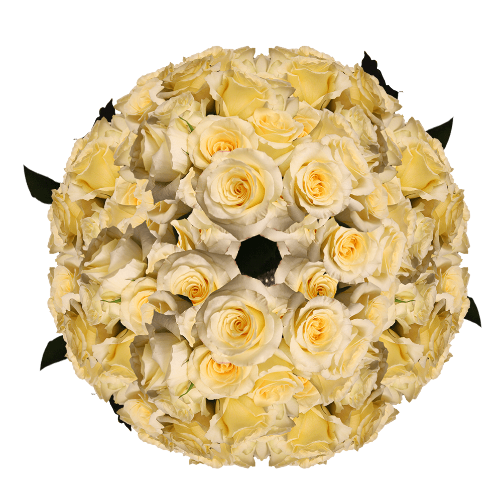 Light Yellow Roses Wholesale Roses from Colombia to Buy