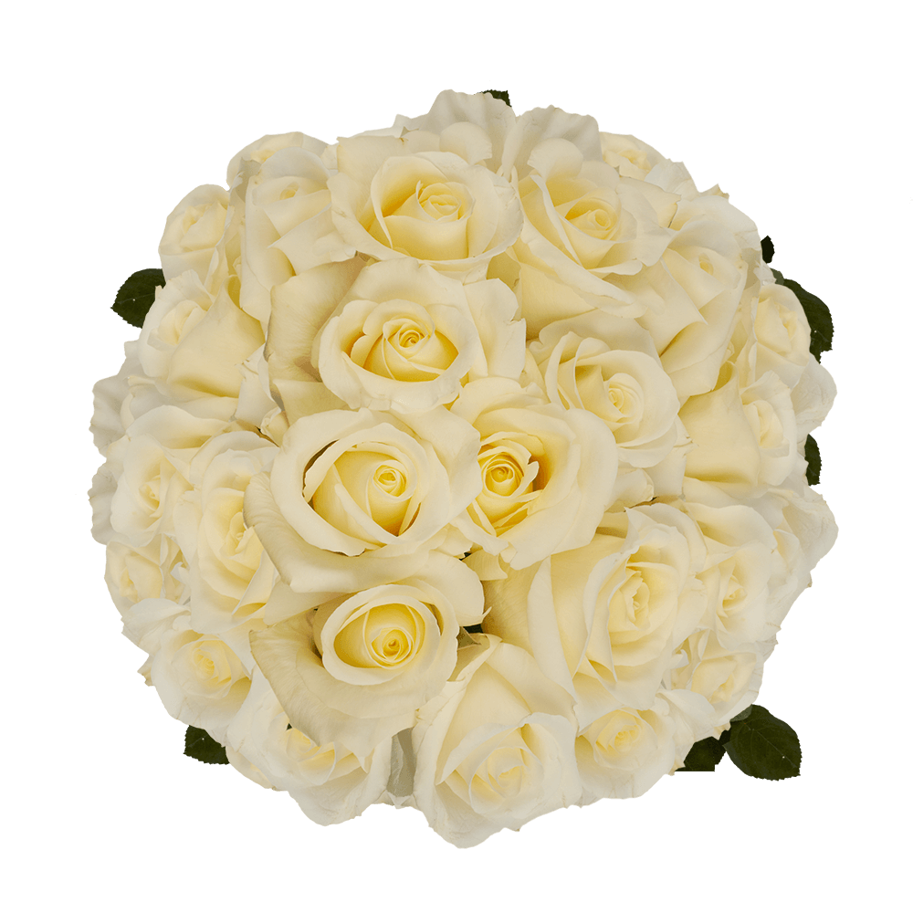 Long White Wedding Roses Online