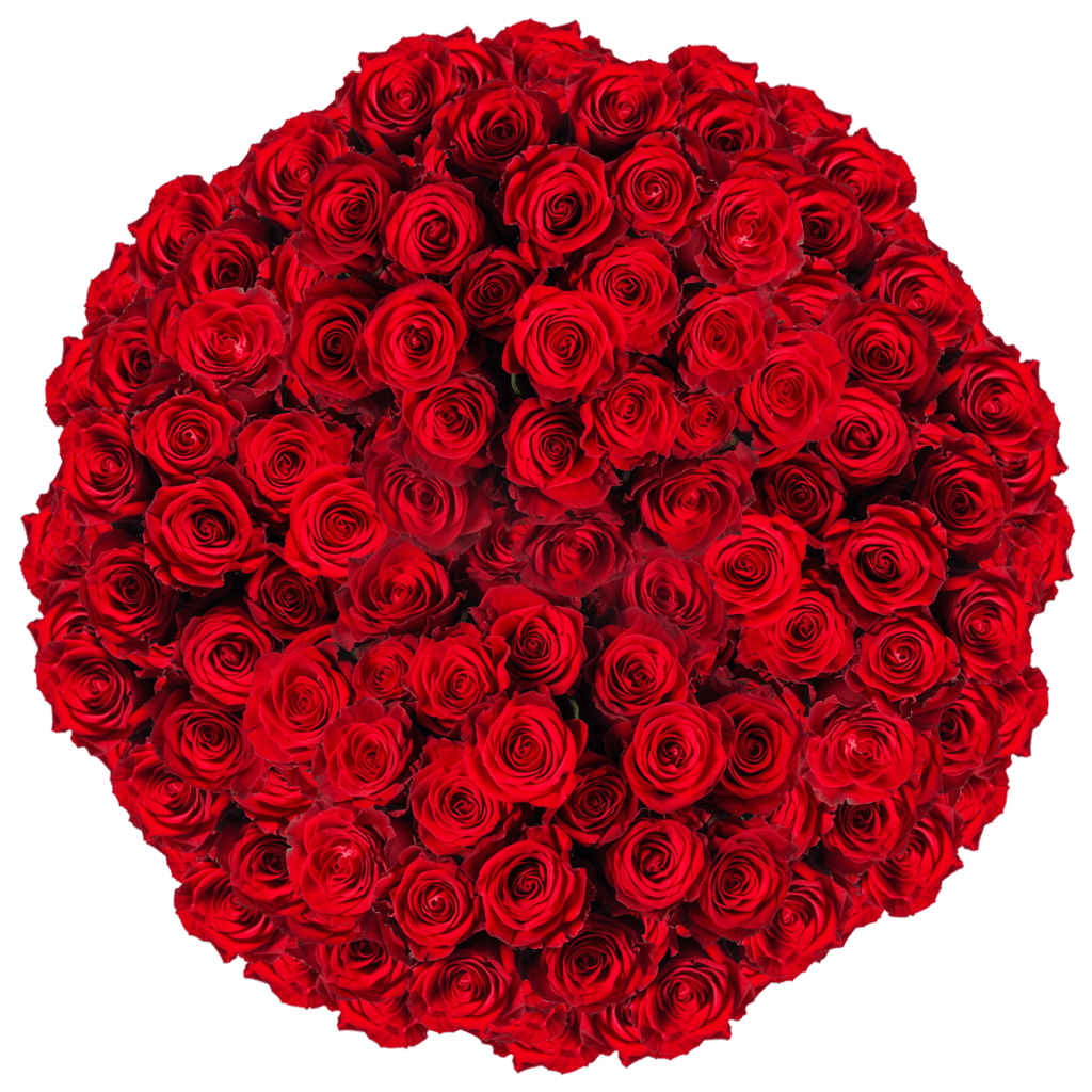 Next Day Delivery Mother's Day Red Rose Delivery