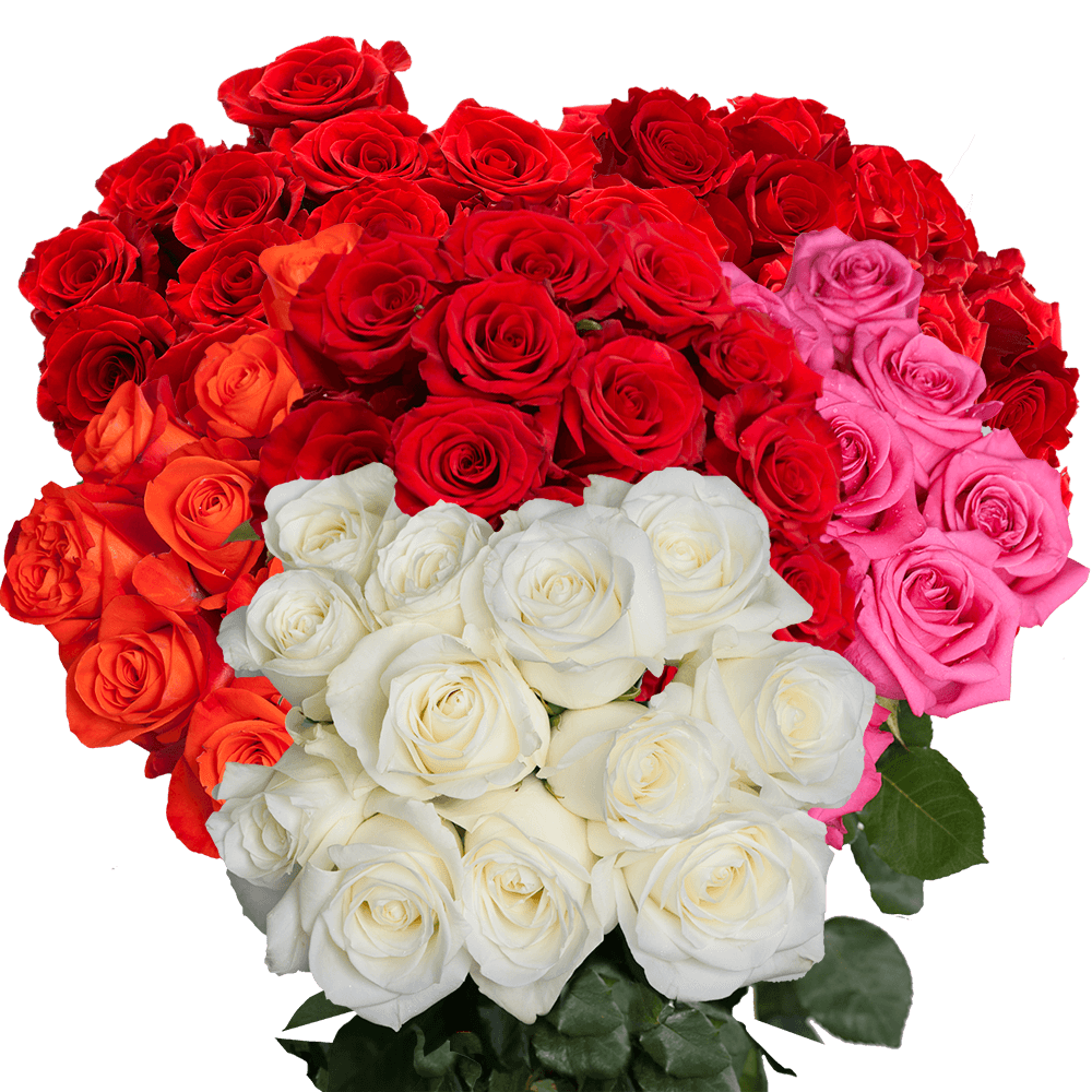 Order Dozens of Red and Assorted Colors of Roses