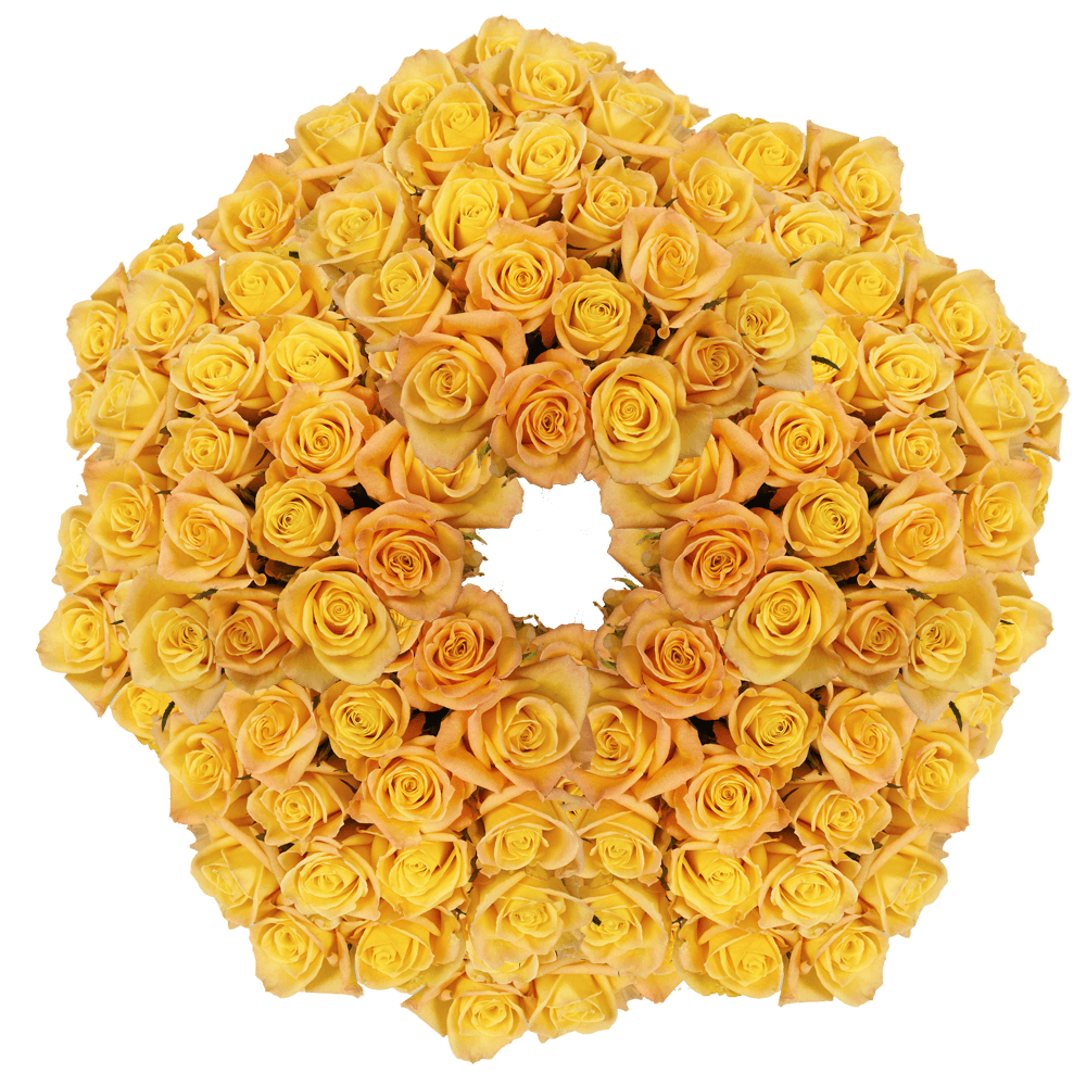 Order Wholesale Light Yellow Roses