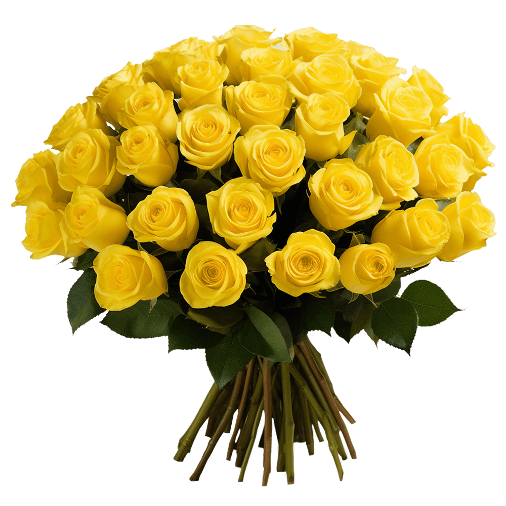 Overnight Yellow Roses