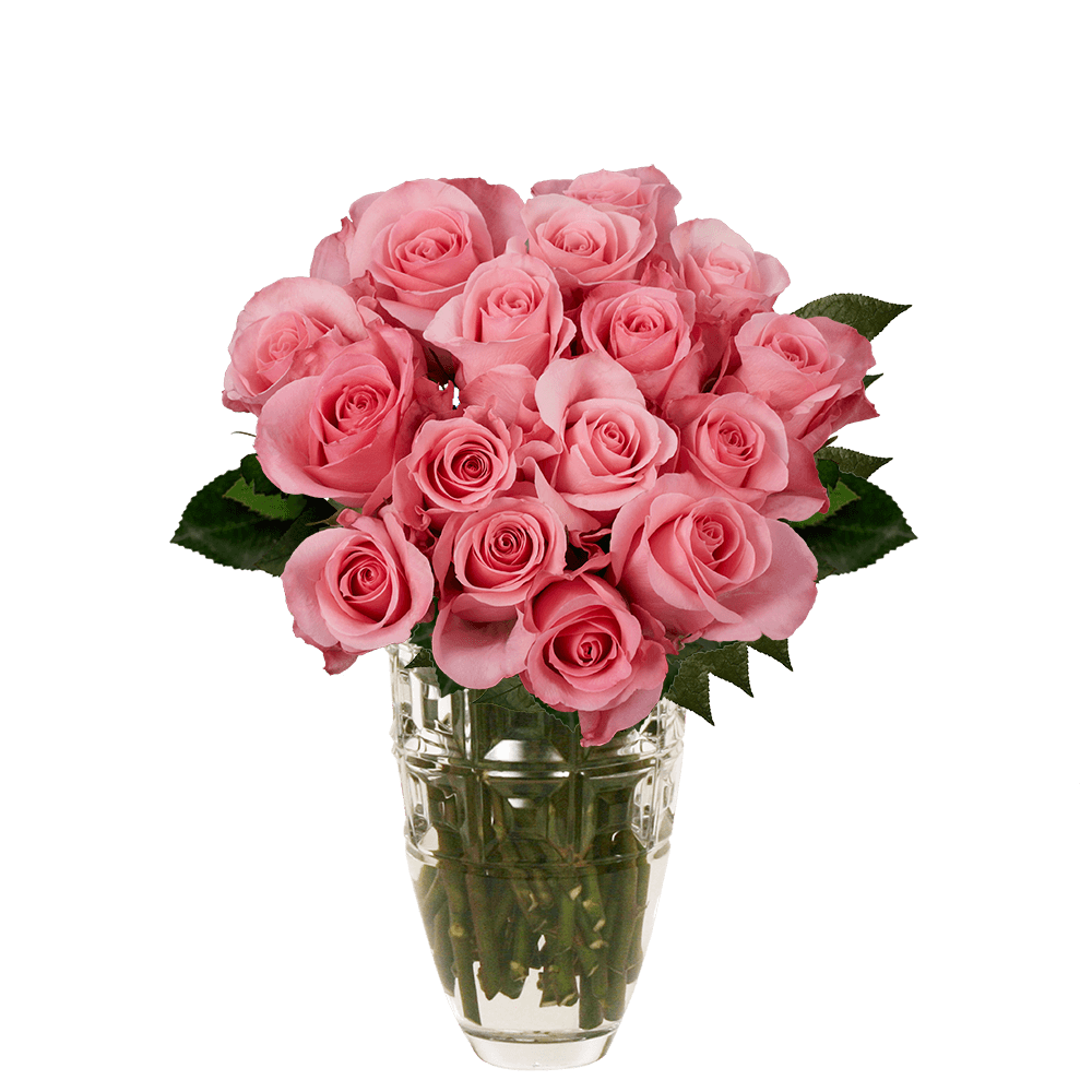 Pink Roses Arrangement Pink Bouquet with Vase