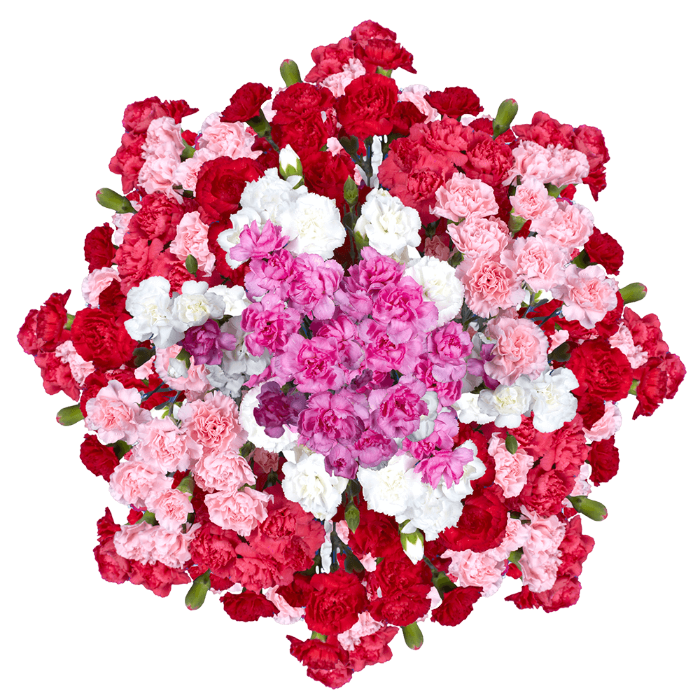 Send Valentine's Day Mini Carnations