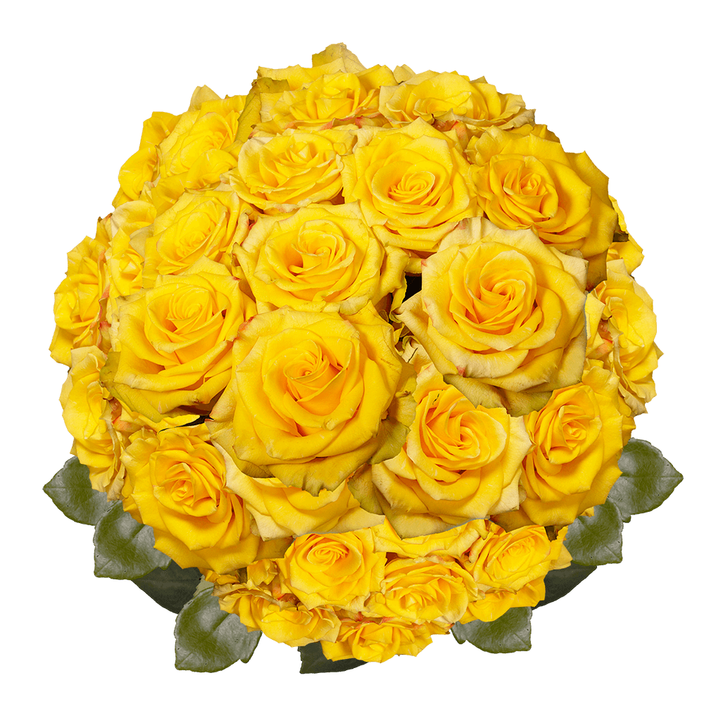 Send Yellow Roses with Red Petals Online