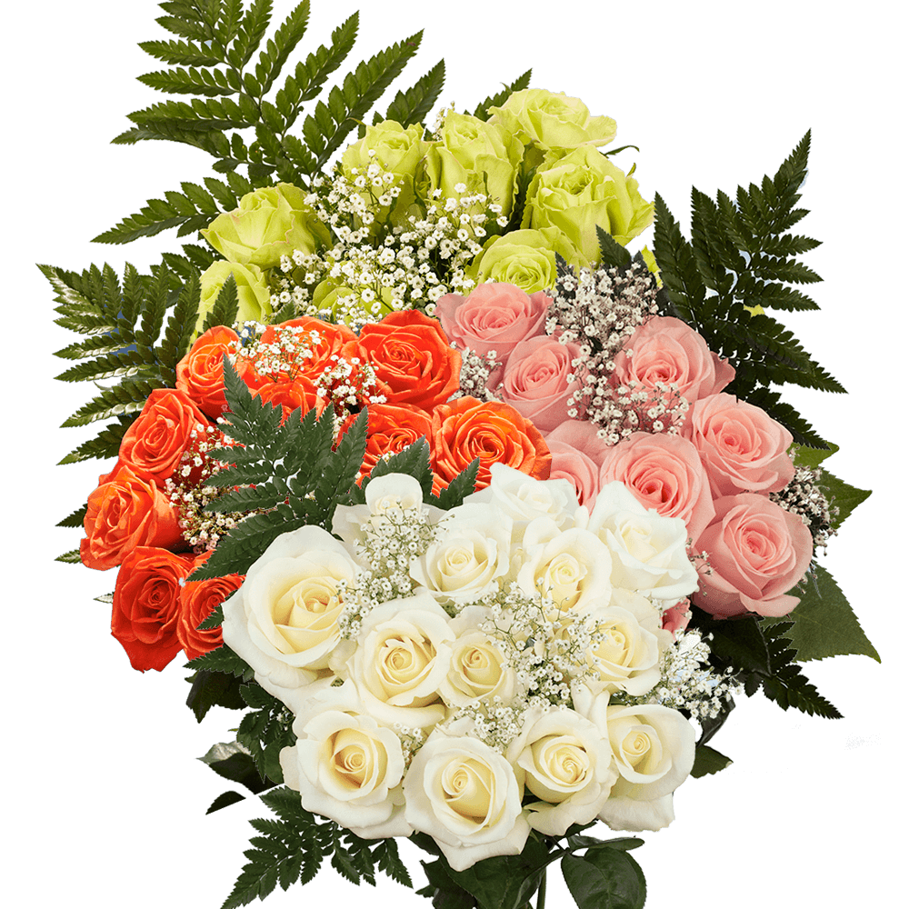 Vibrant Dozens of Assorted Colors of Roses with Fillers