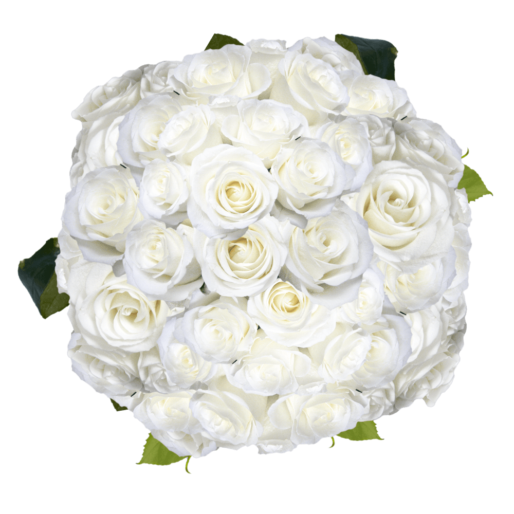 White Roses to Send for Valentine's Day