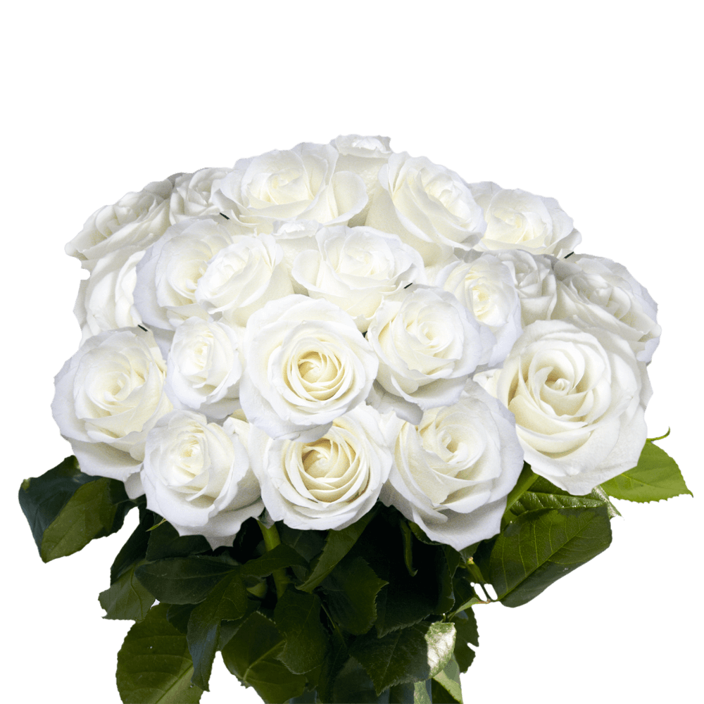 White Roses Valentine's Day Flower Deals