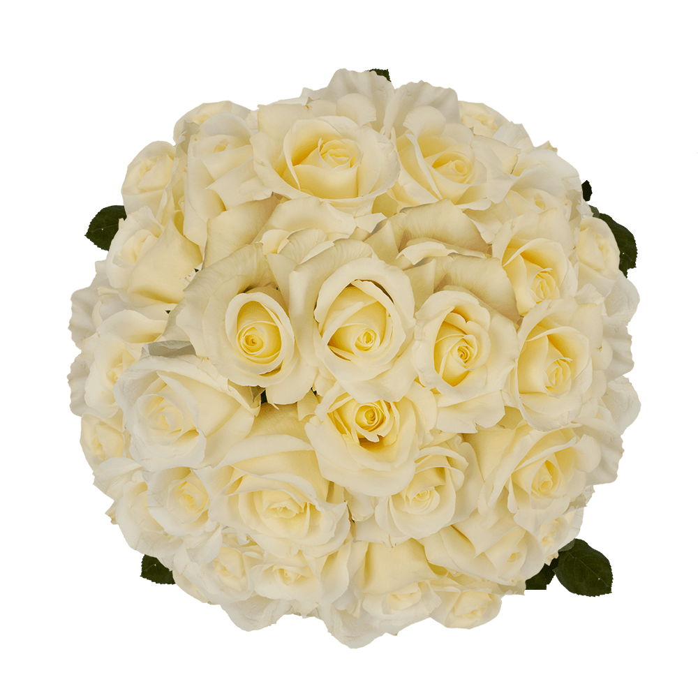 White Wedding Roses In Bulk