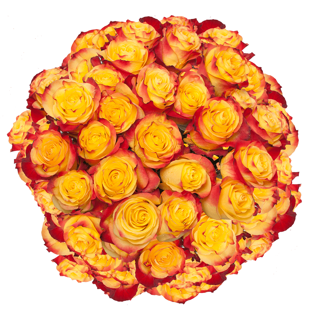 Yellow and Orange Rose Bouquets New Flash Roses