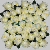 200 Stems of Alpe D'Huez White Roses