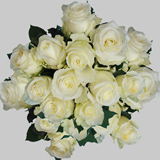 75 X Long Stems of Alpe D'Huez White Roses