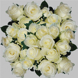 100 Stems of Alpe D'Huez White Roses