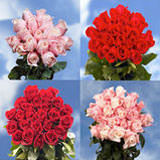 Sweetest Day Ideas 50 Red Roses & 50 Pink Rose