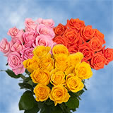 12  Dozen Roses Your Choice of Color