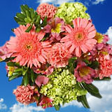 2  Arrangements