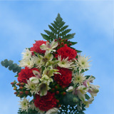 9 Snow Christmas Bouquets