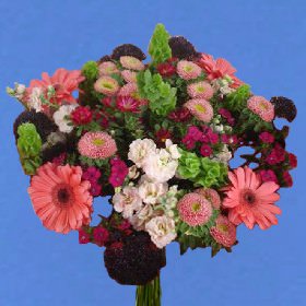 Exteme Delight  Bouquets
