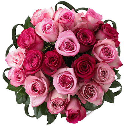 (2BDx20)CP Royal Dark Pink and Light Pink Roses 12 Centerpieces