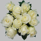 50 Stems of Alpe D'Huez White Roses