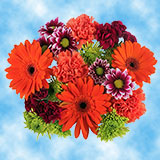 1 Sunny Days Arrangement