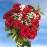 3 Dozen Red Roses