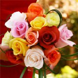 Assorted Color Roses Bridesmaids Bouquets