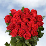 400 Assorted Red Roses