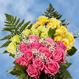 12 Dozen Roses & Fillers Your Choice of Color
