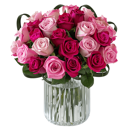 (BDx20)CP Royal Dark Pink and Light Pink Roses 6 Centerpieces