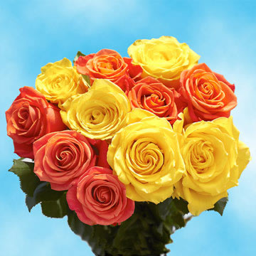 Yellow and Orange Roses for Next Day Delivery Yellow and Orange Roses for Next Day Delivery