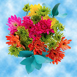 1 Sun and Sea Arrangement
