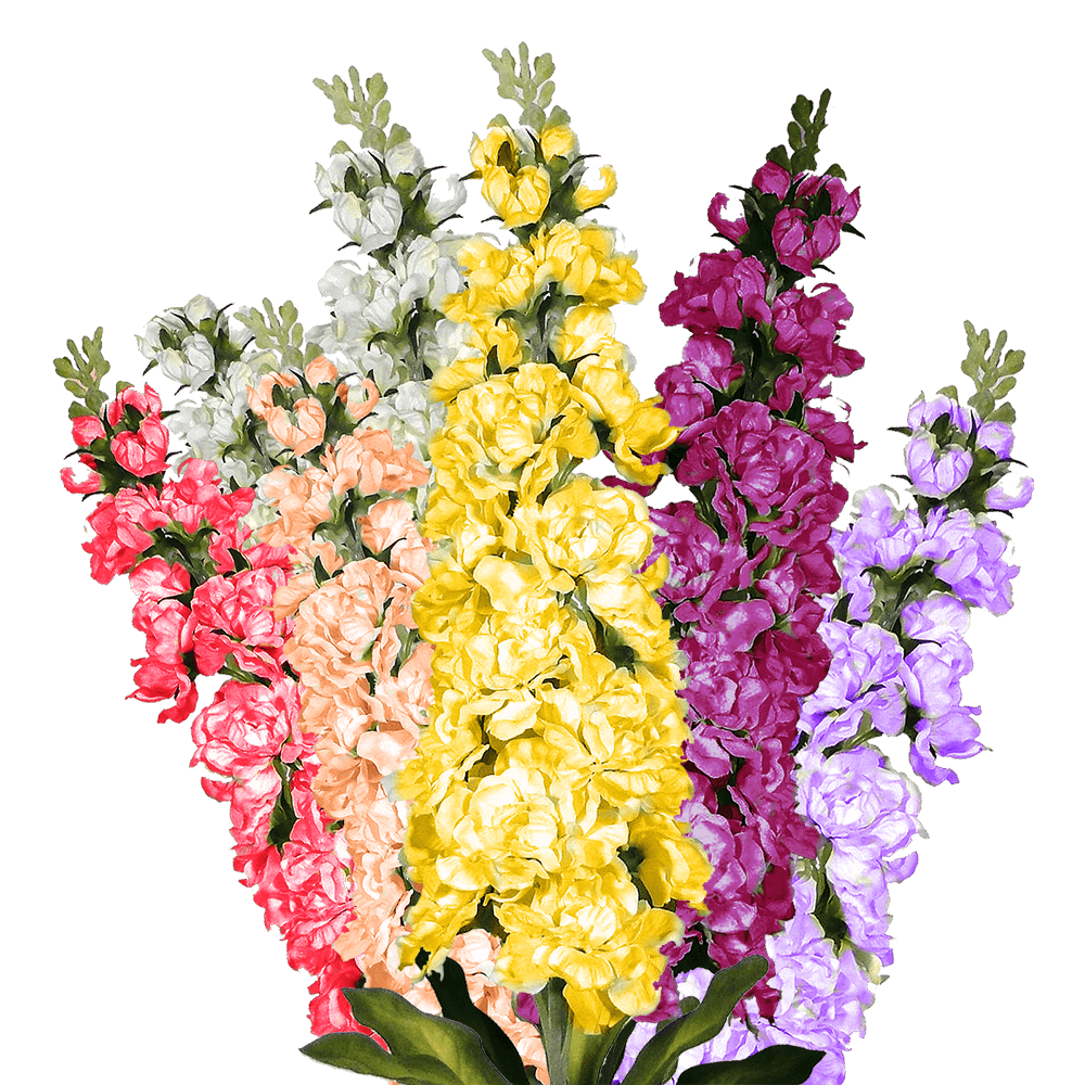 What are other auspicious blooms and colors for Taurus?