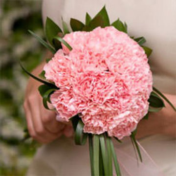 Which are the best wedding flowers (on a budget)