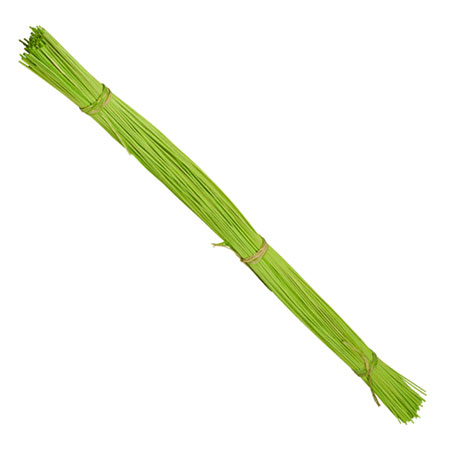 (OASIS) Midollino Sticks Apple Green CS X 10 / 41-12552-CASE For Delivery to Woodstock, Illinois
