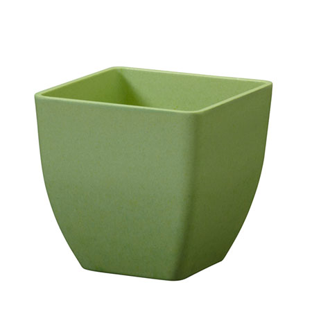 (OASIS) 3-1/2 ECOssentials Cube, Celery - 45-83303 For Delivery to Jamestown, New_York