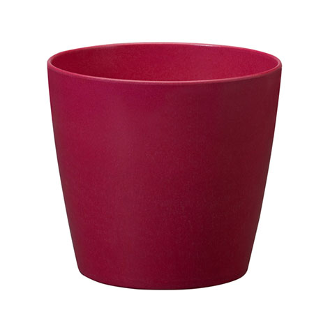 (OASIS) 5 ECOssentials Cylinder, Cranberry - 45-83501 For Delivery to Brighton, Colorado