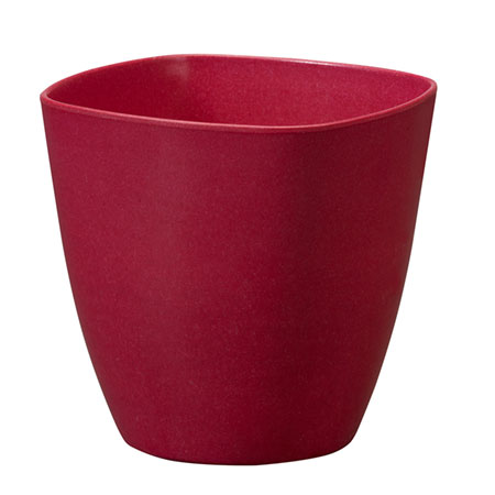 (OASIS) 4-1/2 ECOssentials Cube, Cranberry - 45-83401 For Delivery to Faqs.Html, Mississippi
