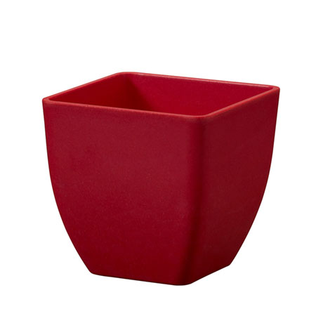 (OASIS) 3-1/2 ECOssentials Cube, Poppy - 45-83304 For Delivery to Kalamazoo, Michigan