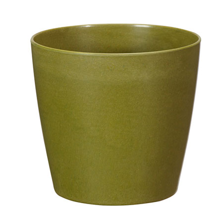 (OASIS) 7 ECOssentials Cylinder, Moss - 45-83702 For Delivery to Glastonbury, Connecticut
