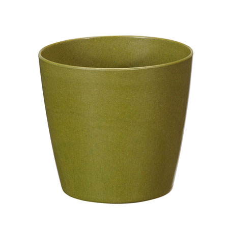 (OASIS) 6 ECOssentials Cylinder, Moss - 45-83602 For Delivery to Liverpool, New_York